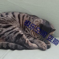 尊龙凯时-人生就是搏!