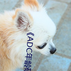 《ADC年齡確認十八歲歡迎您的大駕光臨》中文版免費在線播