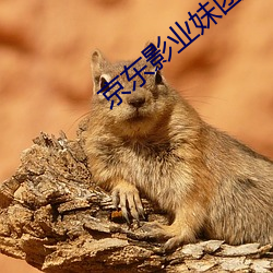 京(jīng)东影(yǐng)业妹团