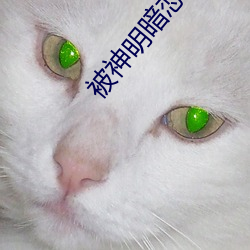 被神明暗恋后