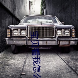 宝贝(貝)看我(我)怎么破你(你)的初试视