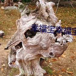 幸福(fú)宝幸福(fú)宝草莓(méi)下载