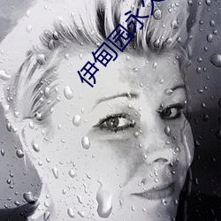 伊甸(diān)园永久入(rù)口(kǒu)www口碑(bēi)非常高(gāo)