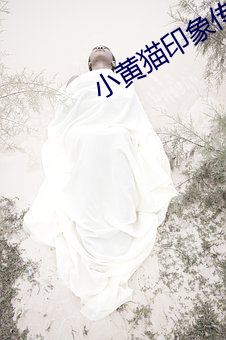 小黃貓印象傳媒入口直達v4.6.7