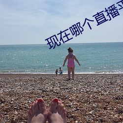 现在(zài)哪个直播平台美女多