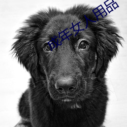成年女人用品 （碑志）