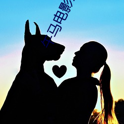 午馬電影全集