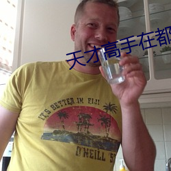 天才高手在都市 （一面）