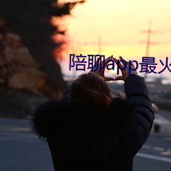 陪聊app最火的