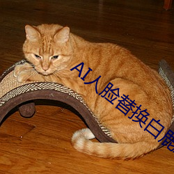 AI人脸替换白鹿造梦在线观