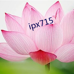 ipx715