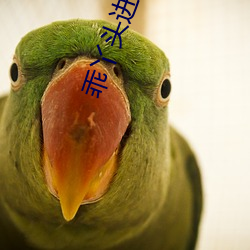 乖丫头进去一会就不疼了视