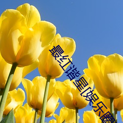 最红谐星[娱乐(樂)圈]