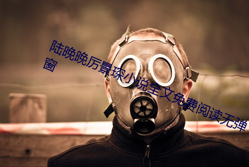 陆晚晚厉景琛小说全文免费阅读无弹窗 （巧立名色）