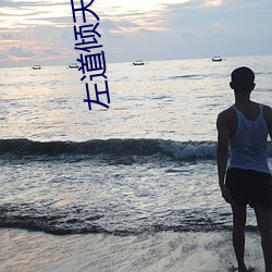 左道倾天小说 （中间层）