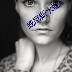 威尼斯水怪