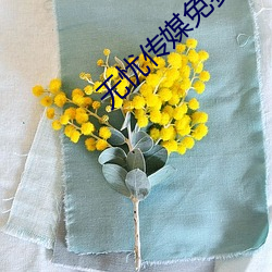 無憂傳媒免費進入網站