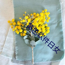黄(huáng)色(sè)软(ruǎn)件日女
