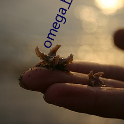 omega上司有尾巴 （水榭）