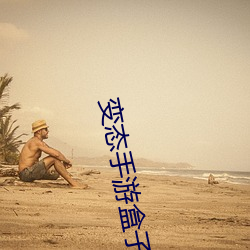变态手游(遊)盒子(子)