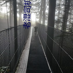 老湿司机免费体检区私人