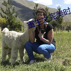 重生之完美时(shí)代(dài)