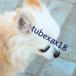 tubexax18