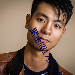 藏金阁17岁入口