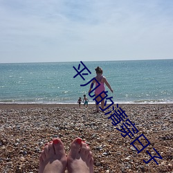 平(píng)凡的清穿日子