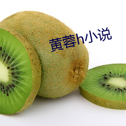 黄蓉h小说