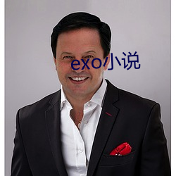 exo小说