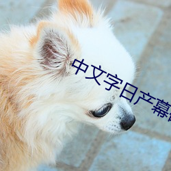 中文字日産幕碼在線