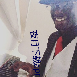 夜月下载app免费安全下载