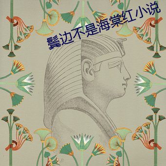 鬓边不(不)是海棠红小说