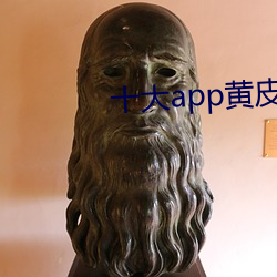 十大app黄皮软件排行榜 （时限）