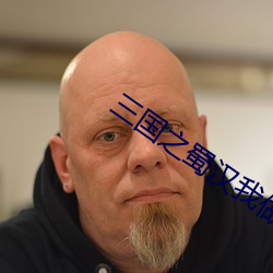 三國之蜀漢我做主