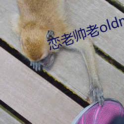 恋老帅老oldmantv （截鹤续凫）