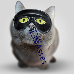 汇(彙)编Asses