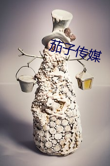 茄子传媒 （劳师糜饷）