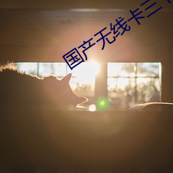 国产无线卡(卡)三卡(卡)四卡乱(亂)码