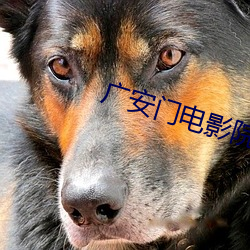 广安门电影院影讯