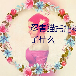 忍者猫托托神秘珠宝大盗主要讲了什么 （除外）