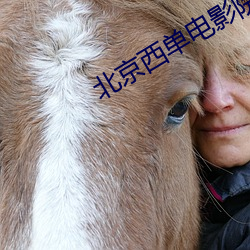 北京西单电影院