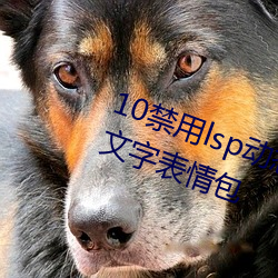 10禁用lsp動態表情包:18款禁用lsp文字表情包