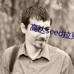 高达seed拉克丝h图