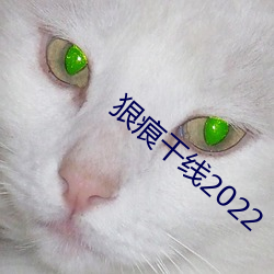 狠痕幹線2022