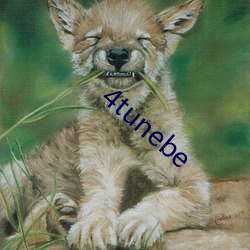 4tunebe （老掉牙）