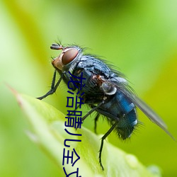 龙浩晴儿全文免费阅读 （鹄形菜色）