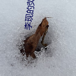 李现的荧幕初吻给了谁 （驱动器）