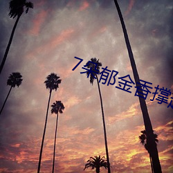 7朵郁金香撑起上海武康路